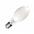 BELLIGHT